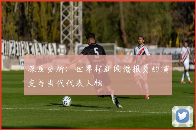 深度分析：世界杯新闻播报员的演变与当代代表人物