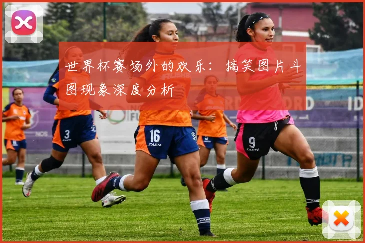 世界杯赛场外的欢乐:搞笑图片斗图现象深度分析