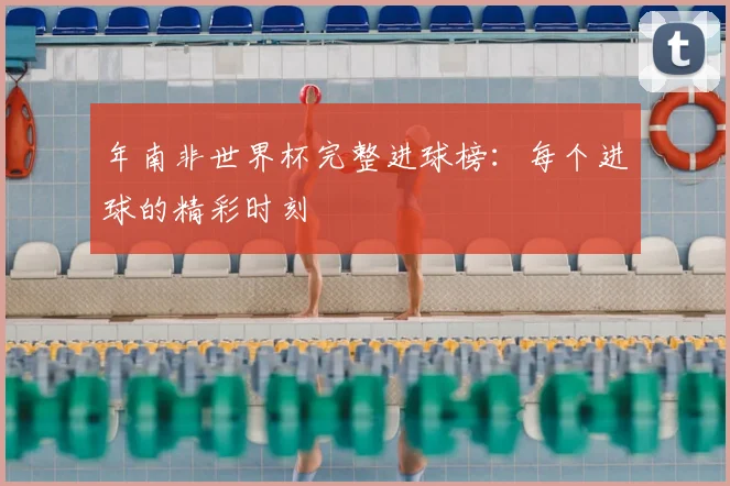年南非世界杯完整进球榜：每个进球的精彩时刻
