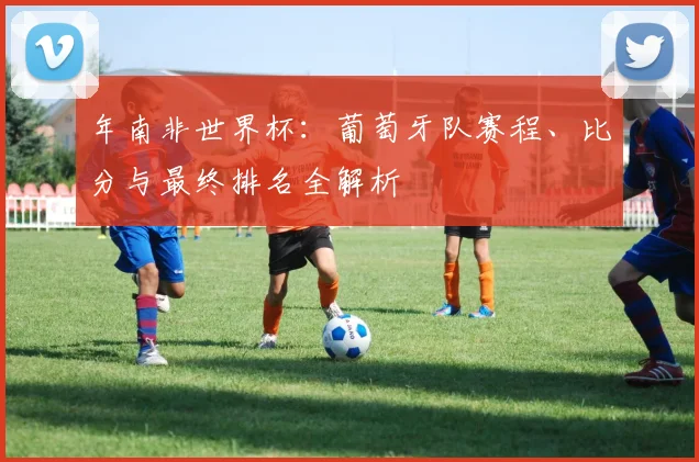 年南非世界杯：葡萄牙队赛程、比分与最终排名全解析